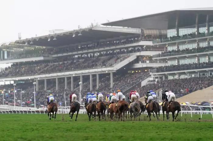 Latest odds, racecards and results from Saturday's meetings at Cheltenham, Doncaster, Kelso and more
